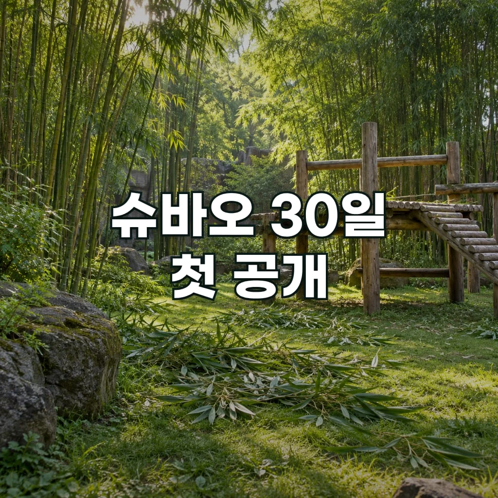 슈바오 30일 첫 공개